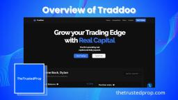Overview-of-Traddoo.webp